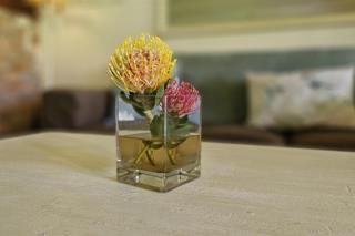 9 Bedroom Property for Sale in Stanford Western Cape